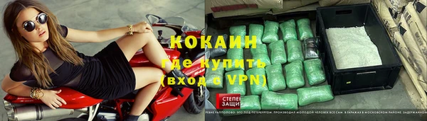 прущие крисы Бородино