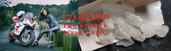 прущие крисы Бородино