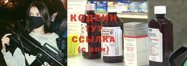 прущие крисы Гусев