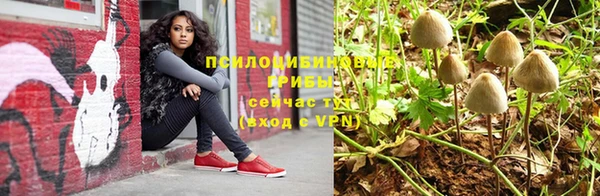 каннабис Гусь-Хрустальный