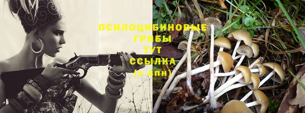 МДМА Гусиноозёрск