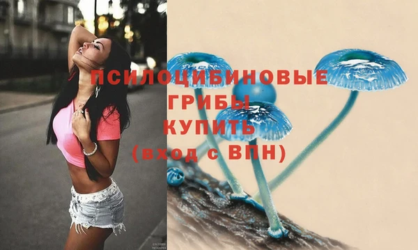 a pvp Протвино